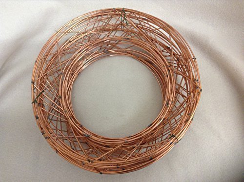 floral supplies Raised wire wreath round rings holly mossing Christmas frame - (10 Pack, 10 Inch)