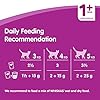 Whiskas-1-Cat-Food-Pouches-Mixed-Selection-in-Jelly-100-g-Pack-of-84 Whiskas wet pouches, delicious and tasty poultry selection in jelly, suitable for adult cats aged 1+, megapack (84 x 100…