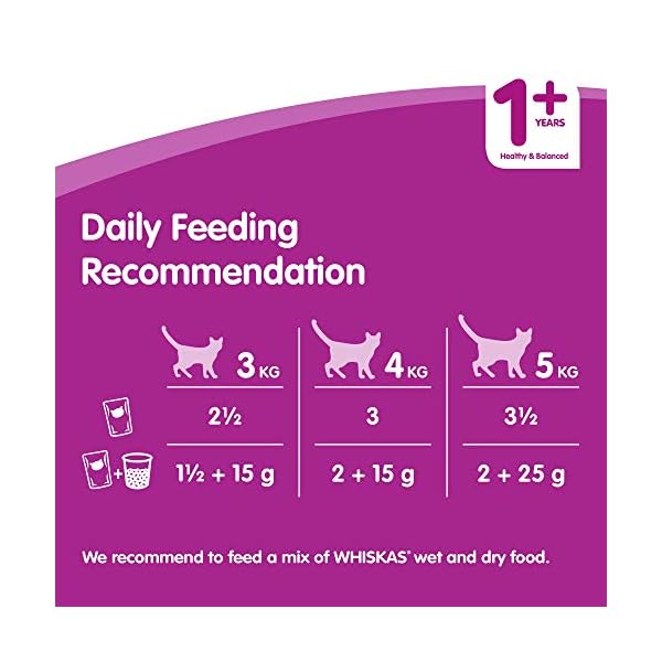 Whiskas-1-Cat-Food-Pouches-Mixed-Selection-in-Jelly-100-g-Pack-of-84 Whiskas wet pouches, delicious and tasty poultry selection in jelly, suitable for adult cats aged 1+, megapack (84 x 100…