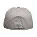 New Era Blank 59Fifty Fitted Hat (Gray)