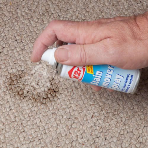 Dry Clean Stain Remover Spray 100ml Buy Online in UAE. Kitchen