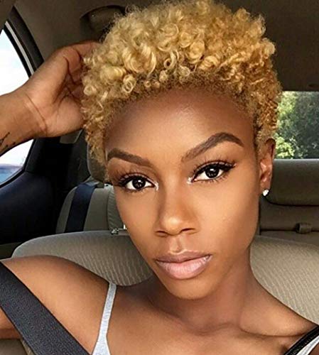 BeiSD Short Ombre Brown Wig Short Afro Kinky Curly Synthetic Wigs for Black Women Girls Hairstyles (BS9376-blond)