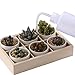 XIAOYA 13 Pieces Succulent Plants Tools Mini Garden Hand Tools Set Bonsai Tools Planting Gardening Kit Transplanting Tools Set for Indoor Miniature Fairy Garden Plant Care