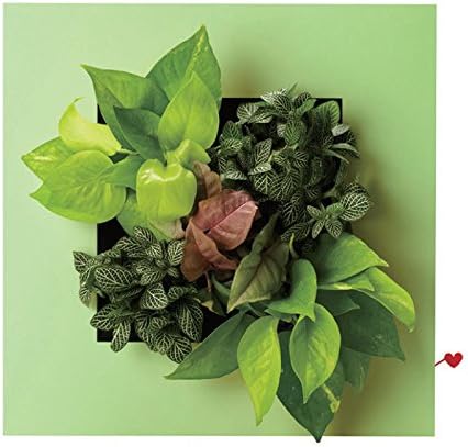 Impressionism Floral Flower Frame Vase Interior Design Desktop Wall Home Decor w/ 5 Plant Pots Xmas Gift (Green)