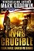 United We Stand: A Post-Apocalyptic Novel of America's Coming Civil War (Ava's Crucible Book 3) by Mark Goodwin