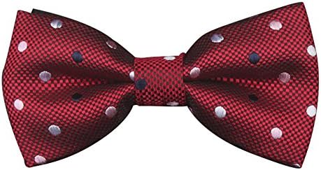 Lanpan New School Boys Kids Children Baby Bow Wedding Striped Colour Tie Necktie (Red T)