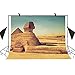 MEETSIOY 7x5ft World Famous Architecture Backdrop Egyptian Sphinx Background Photo Booth Studio Props Theme Party Backdrop MT415
