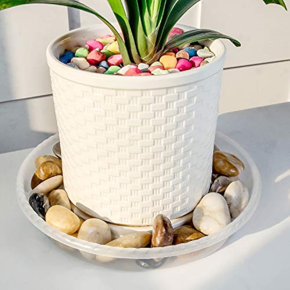 Clear Pots Plant Saucers 18 Pieces Of 6, 8, 10 Inch Great For Indoor