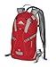 High Sierra Piranha Hydration Backpack, Bright Red/Silver, 2-Liter