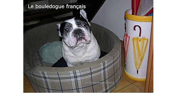 Le Bouledogue Français Les Chiens De Race French Edition