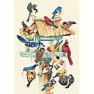 Dimensions Needlecrafts Counted Cross Stitch, Feasting Frenzy