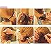 2pcs Women DIY Fast Styling Volume Insets Hair Clip Boost Comb French Twist Maker Fast Volume Twist Hair Boost Comb Hair Up Maker Tool Set (Dark brown)