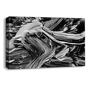 Canvas Wall Art Abstract Black and White Painting Artwork for Home Prints Framed - 12x18 inches