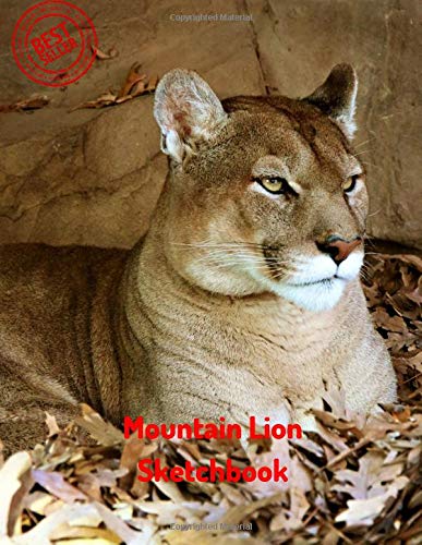 Mountain Lion Sketchbook: Blank Paper for Drawing, Doodling or Sketching 120 Large Blank Pages (8.5"x11") for Sketching, inspiring, Drawing Anything ... Book) (Sketchbook for Girls) (Volume 31) Paperback – August 4, 2018