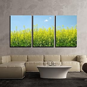 3 Piece Canvas Wall Art - Spring Landscape with Rapeseed Field - Modern Home Art Stretched and Framed Ready to Hang - 16"x24"x3 Panels