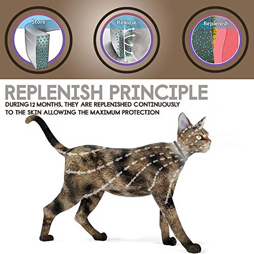ONMOG Cats Flea and Tick Collar - 12-Month Flea Treatment Cat Collar - Hypoallergenic, Adjustable & Waterproof Tick Prevention - Natural Essential Oil Extracts [Upgrade Version] - Thumbnail 2