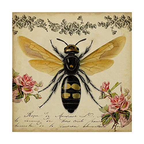 Trademark Fine Art from The Rose Garden I by Vision Studio, 35x35-Inch