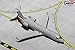 Gemini Jets American Eagle CRJ-200 (Current Livery) 1:400 scale) Airplane