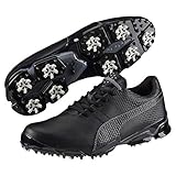 PUMA Men's Titantour Ignite Golf Shoe, Black/Steel Gray, 10 M US