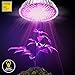 100W LED Grow Light Bulb - Full Spectrum Lamp for Indoor Plants, Garden, Flowers, Vegetables, Greenhouse & Hydroponic Growing, E27 Base with 150 LED's (AC85-265V) by Easy Bright