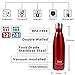 Sfee 17oz Insulated Water Bottle Stainless Steel Double Wall Vacuum Bottle Cup Leak Proof Keeps Hot and Cold Drinks BPA Free for Kids Outdoor Sports Camping+Cleaning Brush(Red)