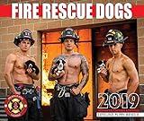 2019 Fire Rescue Dogs Calendar