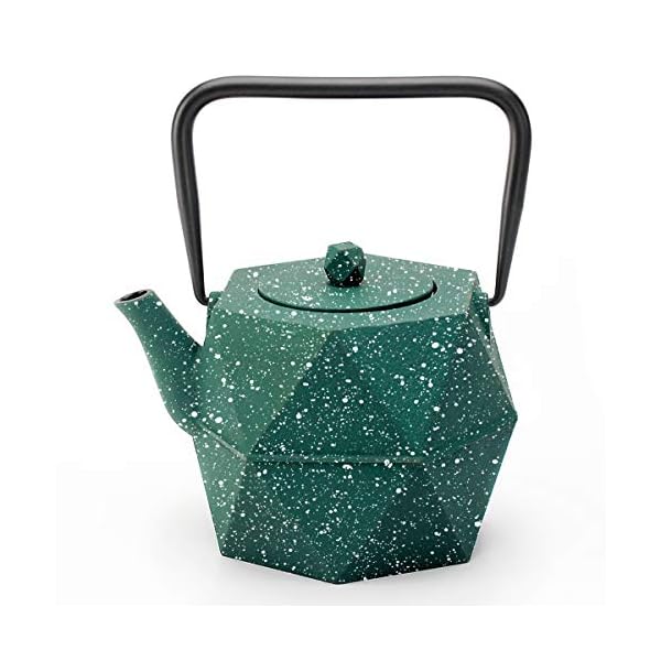Tea Kettle, Toptier Japanese Cast Iron Teapot with Stainless Steel