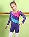 BAOHULU Leotard for Girls Gymnastics Toddler Sparkle Stripes Tank Biketards One Piece