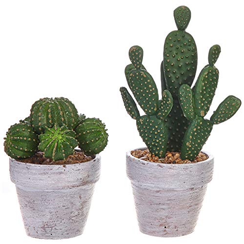 Raz Small Realistic Artificial Faux Cactus Potted Plant Set, 1 Prickly Pear Cactus & 1 Barrel Cactus in 4 inch White Wash Painted Ceramic Pots, Set of 2 | 9" Tall | Modern BOH