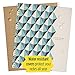 Five Star Spiral Notebooks, 1 Subject, College Ruled Paper, 100 Sheets, 11