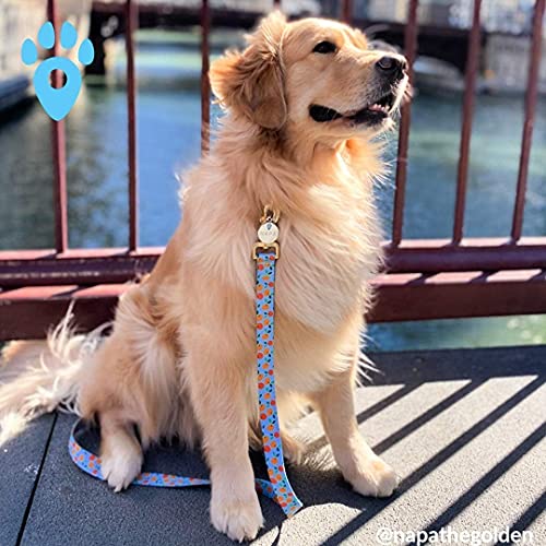 Pet Notify Intellitag Smart Pet ID Tag Animal Recovery System for