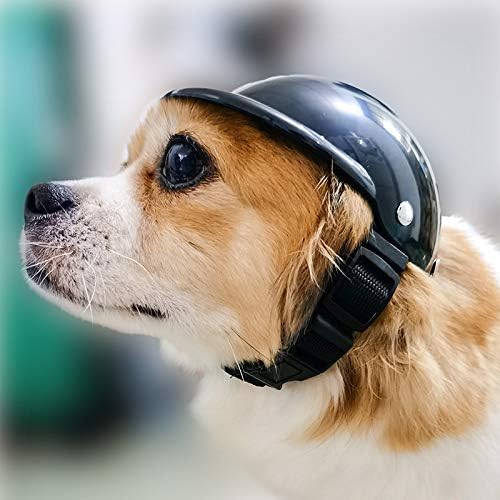 dog helmet