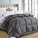 ROSECOSE Luxurious All Seasons Goose Down Comforter Queen Size Duvet Insert Gray 1200 Thread Count 750+ Fill Power 100% Cotton Shell Hypo-allergenic Down Proof with Tabs (Queen, Gray)