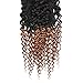 Feelgrace Hair 8A Brazilian 2 Tone Ombre Color Kinky Curly Hair 3 Bundles with 4X4 Closure Ombre Color Free Part Lace Closure with Virgin Remy Human Curly Hair Bundles Extensions(18 20 22+16)