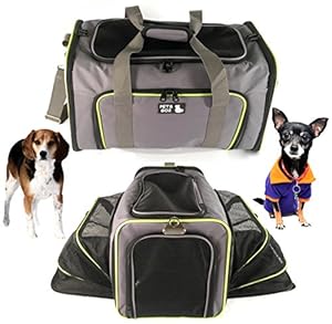 Amazon Com Pet Carrier For Dogs Amp Cats Airline