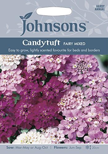 Amazon 輸入種子 Johnsons Seeds Candytuft Fairy Mixed キャンディタフト イベリス フェアリー ミックス ジョンソンズシード 花