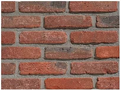 Brick Slips - Ancienne Rouge - 212 x 20 x 65