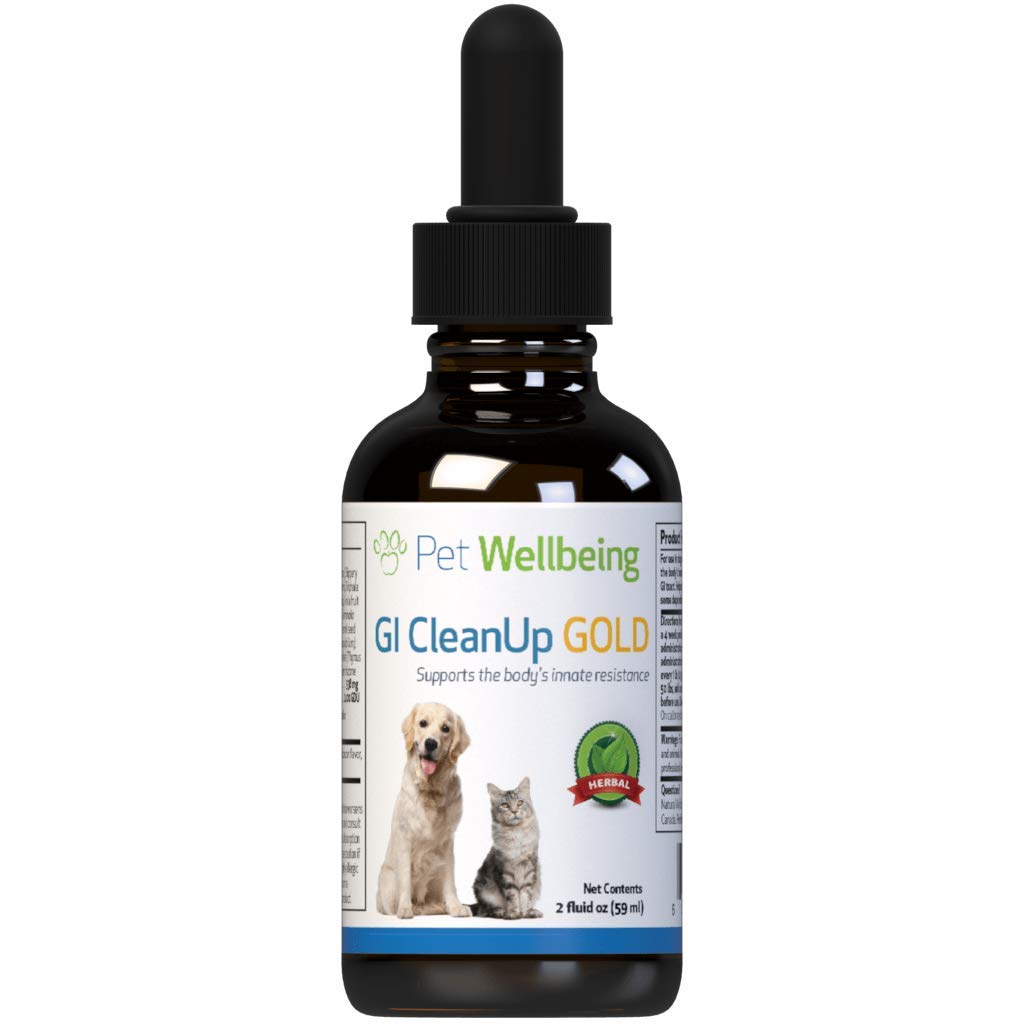 Pet Wellbeing - Gi Clean Up For Cats - Promotes A Healthier Gastrointestinal Tract - 2Oz (59Ml)