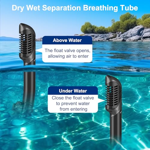 Adult Snorkel Set, Anti-Fog Panoramic Snorkel Sets with Dry Top Snorkel & Swimming Goggles for Diving, Swimming & Snorkelling