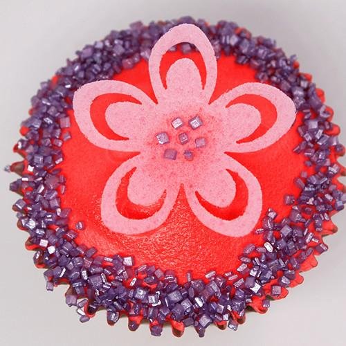 Natural Edible Red Nuts Dairy Soy Gluten GMO Sugar Free Glitter - Thumbnail 5