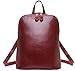 HESHE Women's Fashion Backpack Purse Multipurpose Design Convertible Satchel Handbags Shoulder Bag Travel bag (Wine-R)