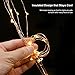 33ft LED String Lights Dimmable with Remote Control, ALPULON Waterproof Lights for Christmas Decorations,Parties,Bedroom,Patio,Garden,Gate,Yard,Outdoor(Copper Wire Lights, Warm White)