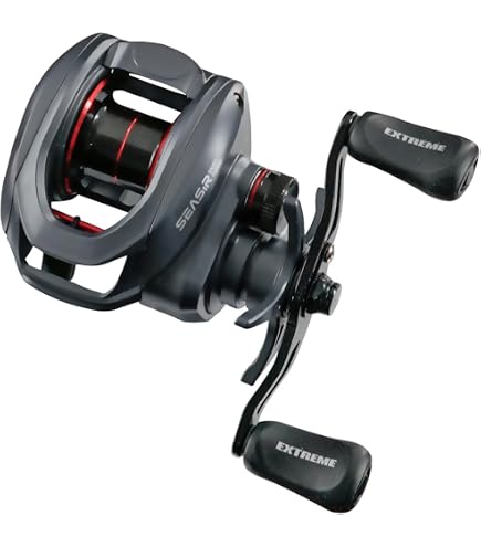 Amazon.com : SEASIR Salminus Travel Fishing Rod, 4 Piece Spinning
