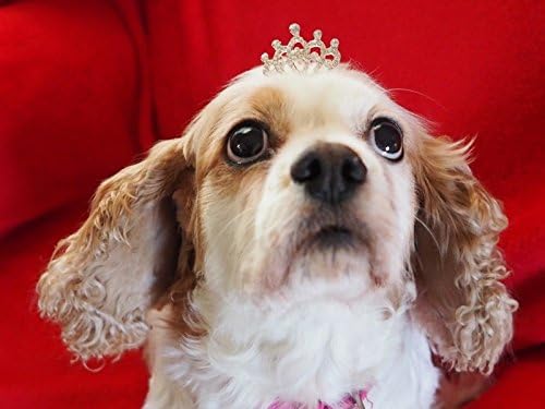 Dog Cat Pet Tiara rhinestone crystal Crown