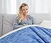 Tirrinia Sherpa Throw Blanket Snow Blue 50