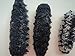 ERLIN 1LB Sun Dried Sea Cucumber BADIONOTUS large size