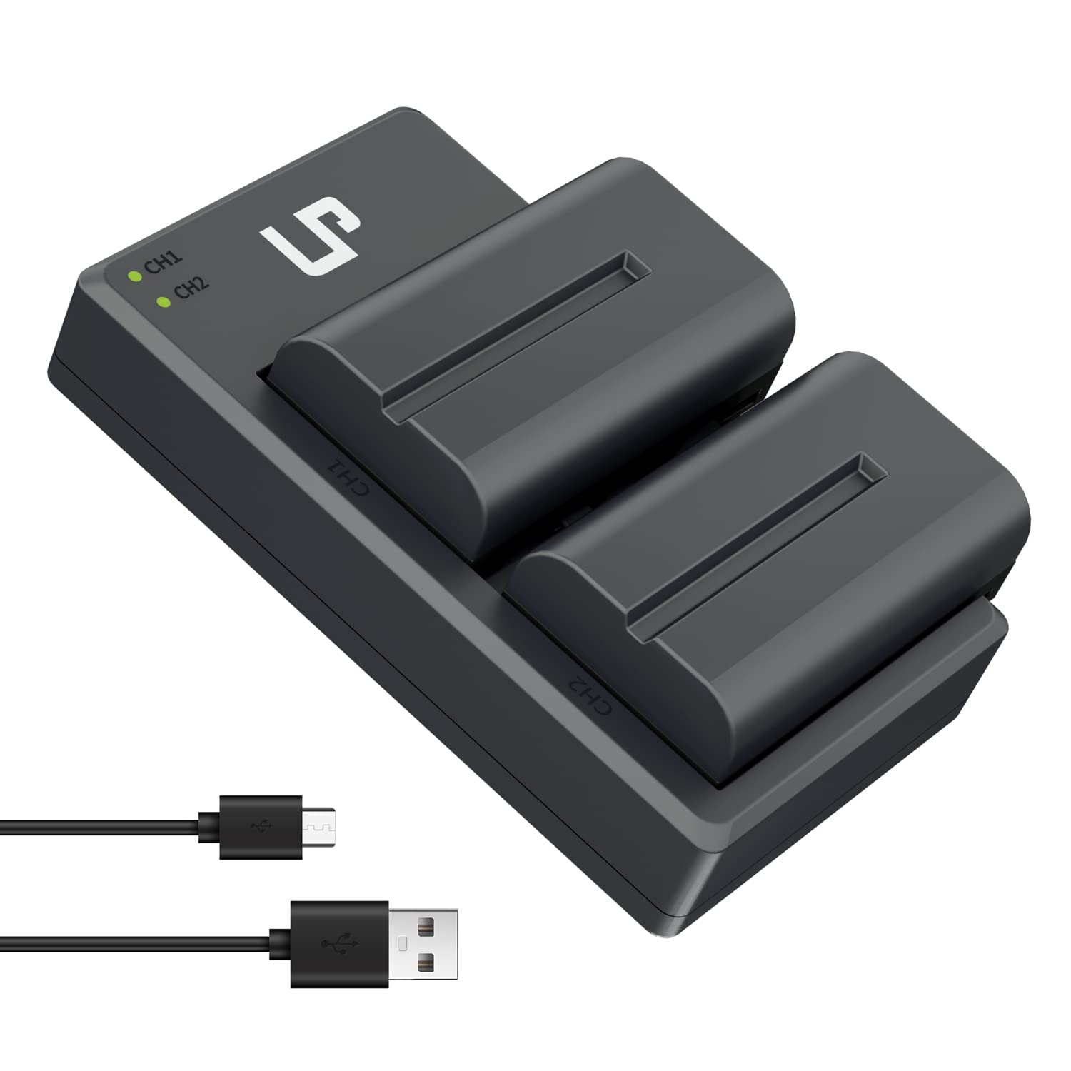 LP NP-F550 Battery Charger Pack, 2-Pack 2900mAh Battery & Dual Slot Charger, Compatible with Sony NP F970, F960, F770, F750, F570, F550, F530, F330, CCD-SC55, TR910, TR917, CN160, CN-216 LED & More