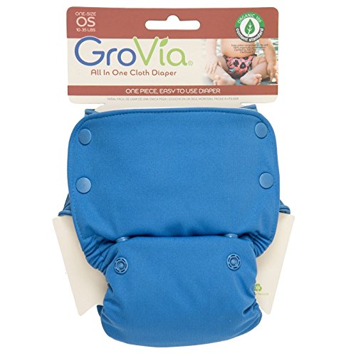 GroVia All in One Cloth Diaper (AIO) (Topaz, 10-35+ lbs.)