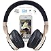 Riwbox IN5 Foldable Headphones with Microphone and Volume Control Stereo Folding Headset Strong Low Bass for iPhone ipad Smartphones Laptop Mp3/4 (Black Gold)