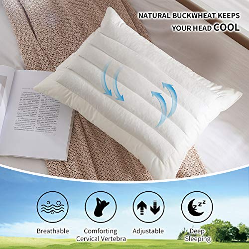 Lofe Buckwheat Pillow for Sleeping, Organic Cotton Shell, Adjustable Loft, Japanese Size(14x20), Breathable for Cool Sleep, Cervical Support for Back and Side Sleepers